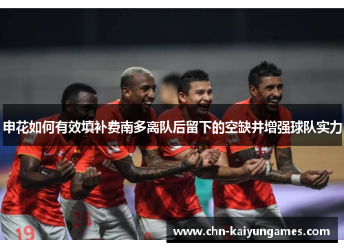 申花如何有效填补费南多离队后留下的空缺并增强球队实力