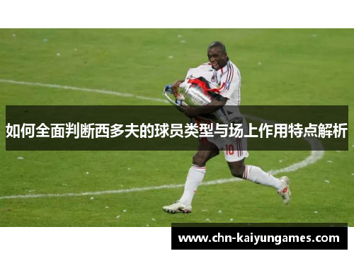 如何全面判断西多夫的球员类型与场上作用特点解析