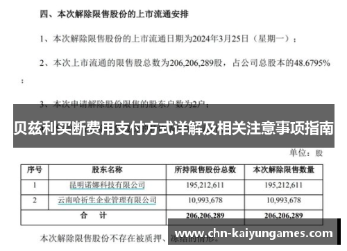 贝兹利买断费用支付方式详解及相关注意事项指南