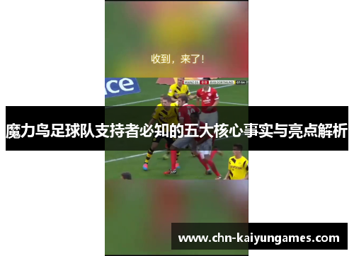 魔力鸟足球队支持者必知的五大核心事实与亮点解析